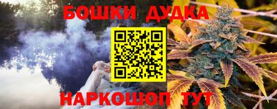 гидропоника Бийск