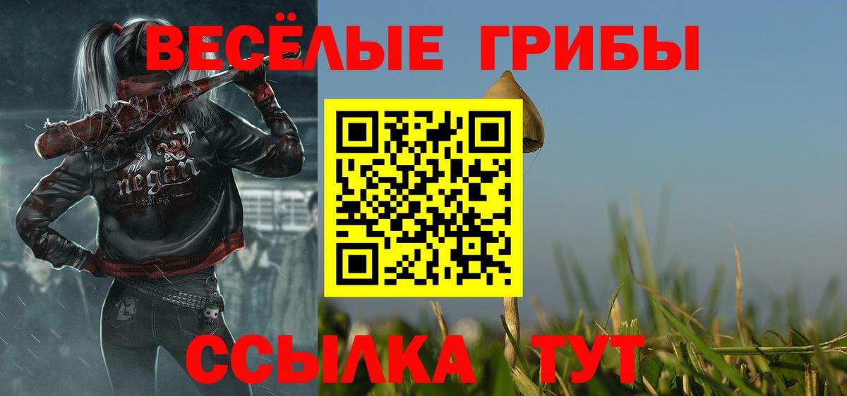 Галлюциногенные грибы Psilocybine cubensis  Вход с VPN  Псилоцибиновые грибы ЛСД  купить закладку  Каменка 